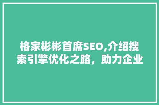格家彬彬首席SEO,介绍搜索引擎优化之路，助力企业腾飞