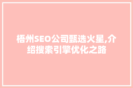 梧州SEO公司甄选火星,介绍搜索引擎优化之路