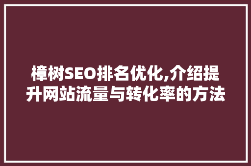 樟树SEO排名优化,介绍提升网站流量与转化率的方法