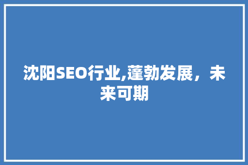 沈阳SEO行业,蓬勃发展，未来可期