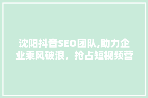 沈阳抖音SEO团队,助力企业乘风破浪，抢占短视频营销制高点