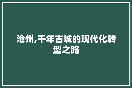 沧州,千年古城的现代化转型之路