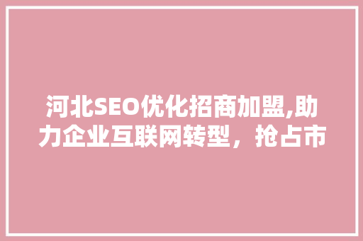 河北SEO优化招商加盟,助力企业互联网转型，抢占市场先机