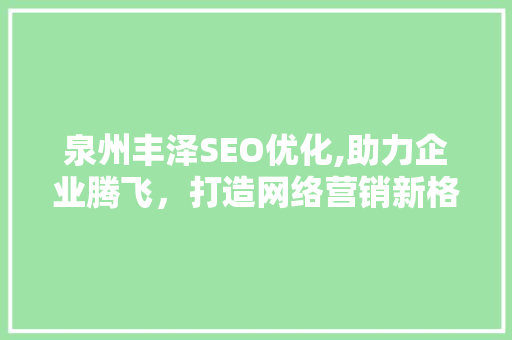 泉州丰泽SEO优化,助力企业腾飞，打造网络营销新格局 编程语言