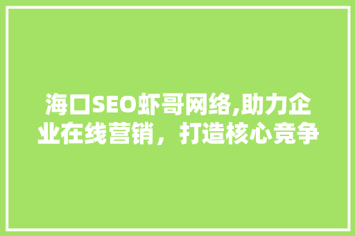 海口SEO虾哥网络,助力企业在线营销，打造核心竞争力