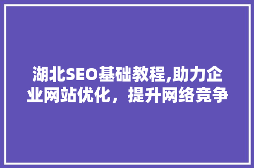 湖北SEO基础教程,助力企业网站优化，提升网络竞争力