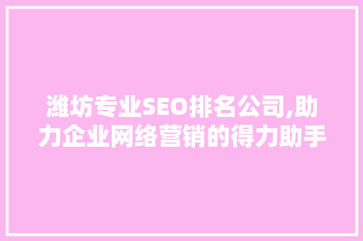 潍坊专业SEO排名公司,助力企业网络营销的得力助手