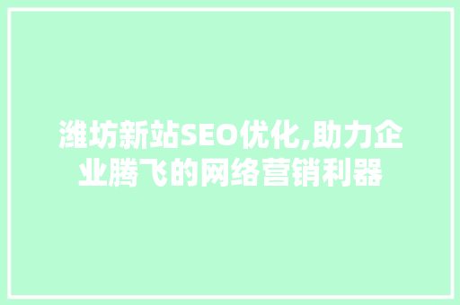 潍坊新站SEO优化,助力企业腾飞的网络营销利器