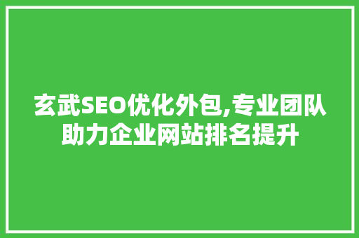 玄武SEO优化外包,专业团队助力企业网站排名提升