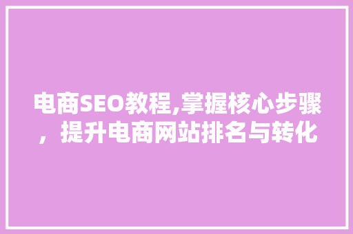 电商SEO教程,掌握核心步骤，提升电商网站排名与转化率