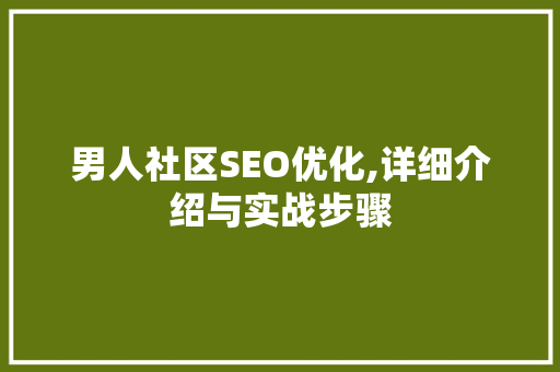 男人社区SEO优化,详细介绍与实战步骤