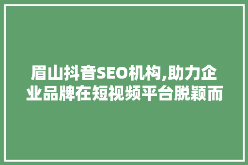 眉山抖音SEO机构,助力企业品牌在短视频平台脱颖而出 眉山抖音SEO机构,助力企业品牌在短视频平台脱颖而出
