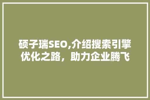 硕子瑞SEO,介绍搜索引擎优化之路，助力企业腾飞