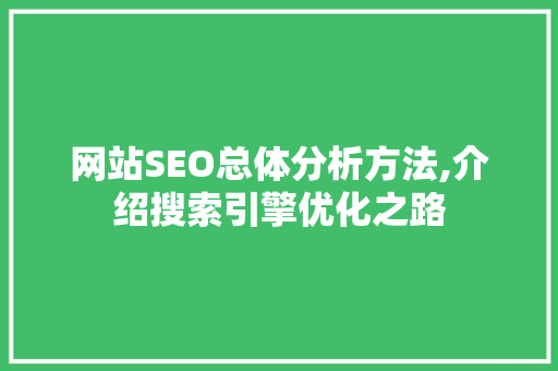 网站SEO总体分析方法,介绍搜索引擎优化之路