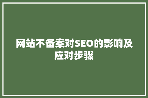 网站不备案对SEO的影响及应对步骤