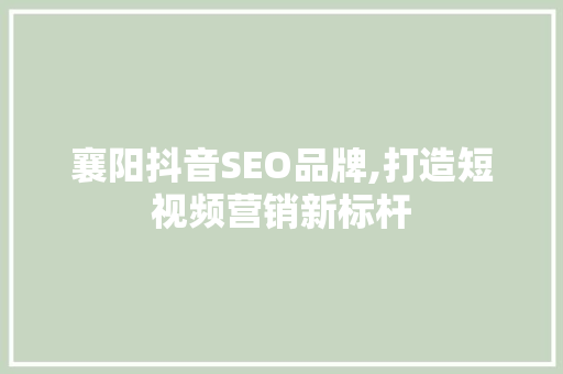 襄阳抖音SEO品牌,打造短视频营销新标杆