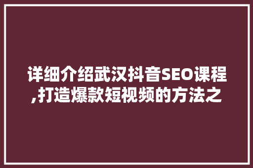 详细介绍武汉抖音SEO课程,打造爆款短视频的方法之路