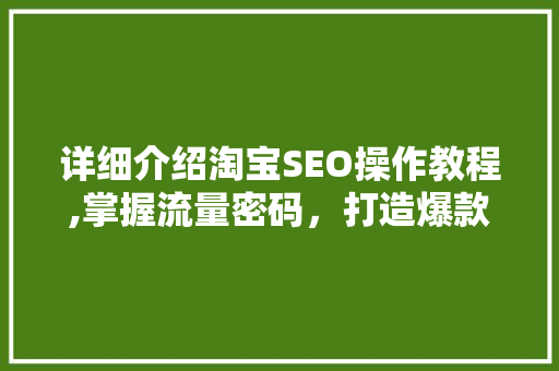 详细介绍淘宝SEO操作教程,掌握流量密码，打造爆款店铺