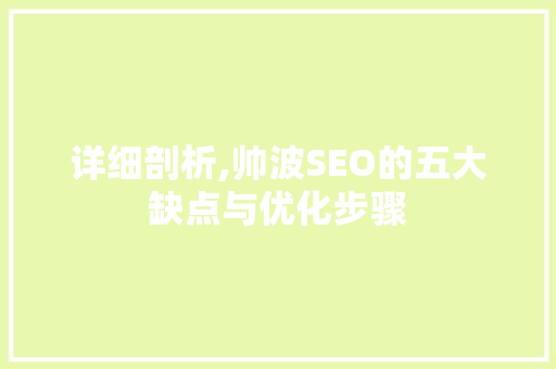 详细剖析,帅波SEO的五大缺点与优化步骤