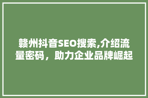 赣州抖音SEO搜索,介绍流量密码，助力企业品牌崛起