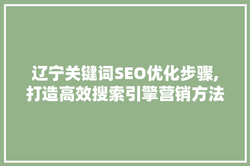 辽宁关键词SEO优化步骤,打造高效搜索引擎营销方法