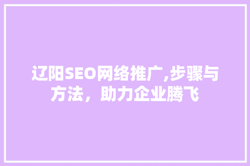 辽阳SEO网络推广,步骤与方法，助力企业腾飞