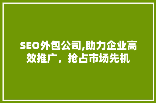 SEO外包公司,助力企业高效推广，抢占市场先机