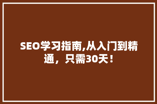 SEO学习指南,从入门到精通，只需30天！