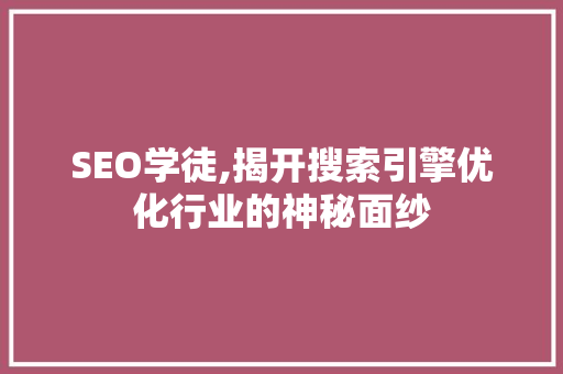 SEO学徒,揭开搜索引擎优化行业的神秘面纱