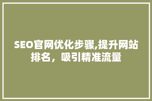 SEO官网优化步骤,提升网站排名，吸引精准流量
