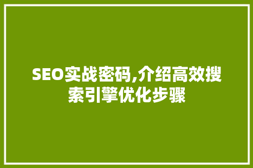 SEO实战密码,介绍高效搜索引擎优化步骤