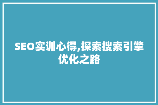 SEO实训心得,探索搜索引擎优化之路