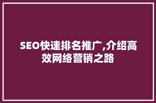 SEO快速排名推广,介绍高效网络营销之路 电脑故障维修