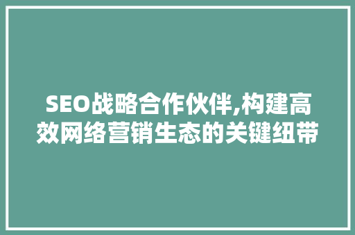 SEO战略合作伙伴,构建高效网络营销生态的关键纽带 编程语言