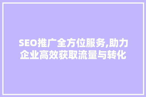 SEO推广全方位服务,助力企业高效获取流量与转化