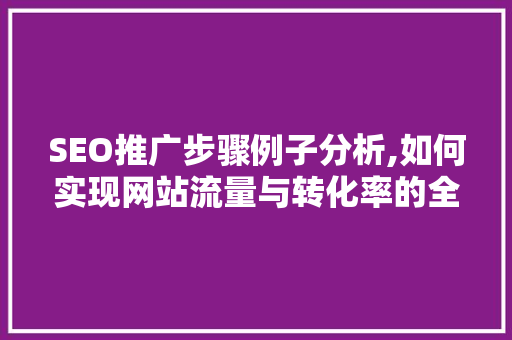 SEO推广步骤例子分析,如何实现网站流量与转化率的全面提升