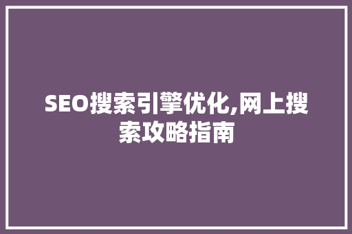 SEO搜索引擎优化,网上搜索攻略指南