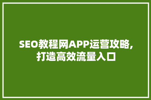 SEO教程网APP运营攻略,打造高效流量入口