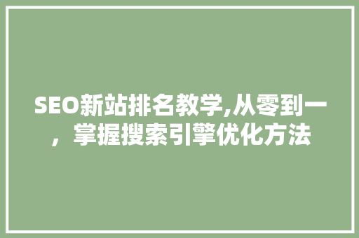 SEO新站排名教学,从零到一，掌握搜索引擎优化方法