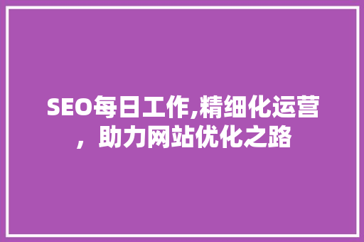SEO每日工作,精细化运营，助力网站优化之路