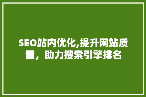 SEO站内优化,提升网站质量，助力搜索引擎排名