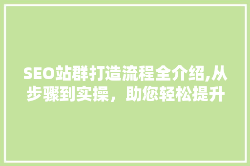 SEO站群打造流程全介绍,从步骤到实操，助您轻松提升网站排名
