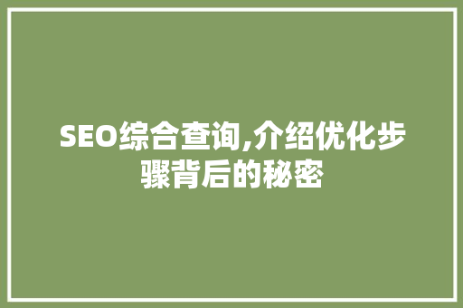 SEO综合查询,介绍优化步骤背后的秘密