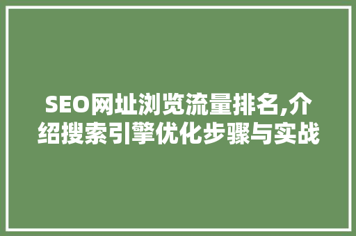 SEO网址浏览流量排名,介绍搜索引擎优化步骤与实战方法