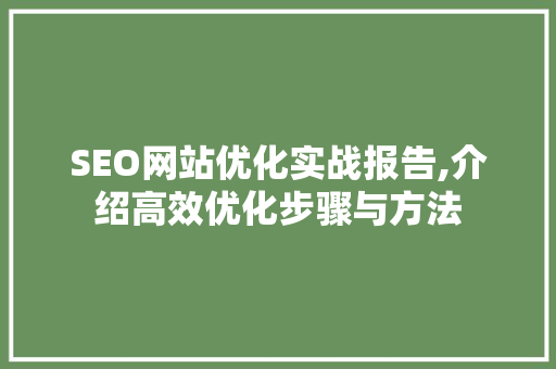 SEO网站优化实战报告,介绍高效优化步骤与方法 网络技术