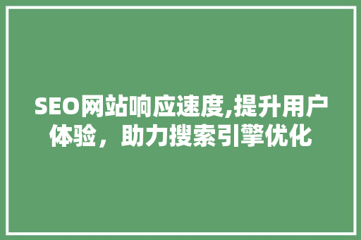 SEO网站响应速度,提升用户体验，助力搜索引擎优化