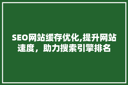 SEO网站缓存优化,提升网站速度，助力搜索引擎排名