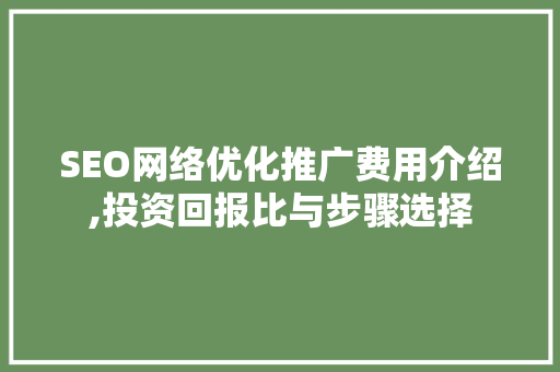SEO网络优化推广费用介绍,投资回报比与步骤选择