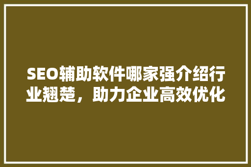 SEO辅助软件哪家强介绍行业翘楚，助力企业高效优化