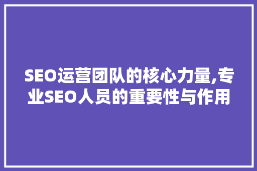 SEO运营团队的核心力量,专业SEO人员的重要性与作用